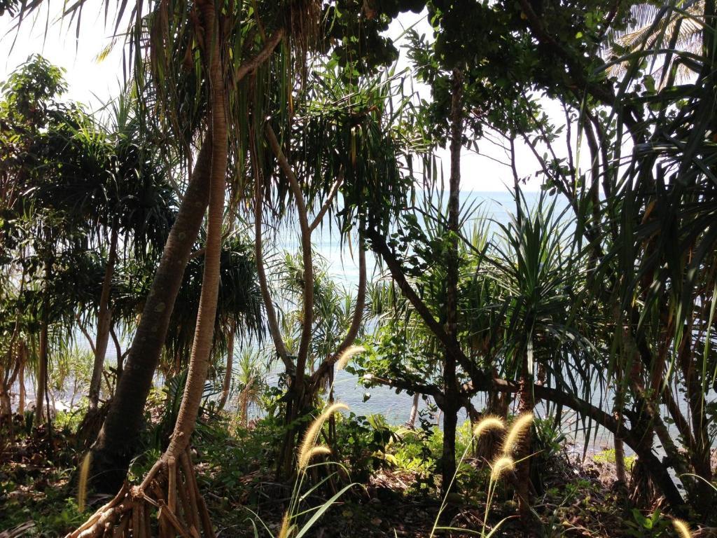 The Narima - Sha Plus Ko Lanta Eksteriør bilde