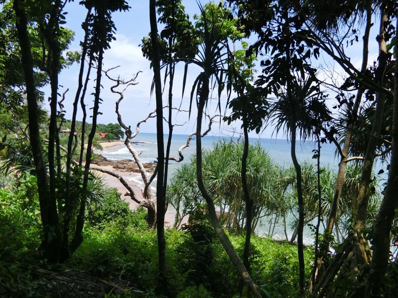 The Narima - Sha Plus Ko Lanta Eksteriør bilde